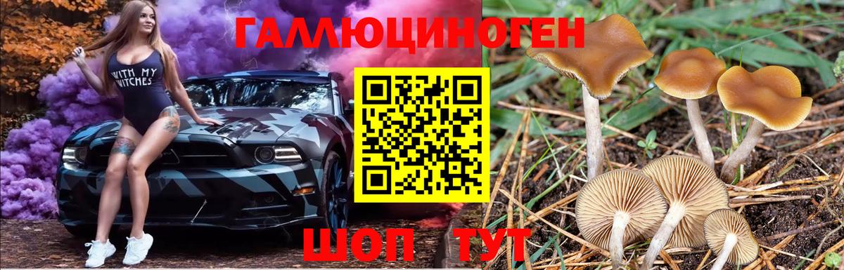 Галлюциногенные грибы MAGIC MUSHROOMS  Вход с VPN  Лабинск  Галлюциногенные грибы мухоморы 
